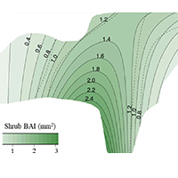 69. Predicted shrub BAI shown as green colour at different ungulate densities and summer temperatures (detail from Fig. 2)