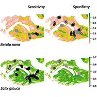 68. Sensitivity and specificity maps of Betula nana and Salix glauca (detail from Fig. 3)
